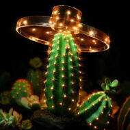 Disruptia Mexico 2025