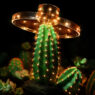 Disruptia Mexico 2025