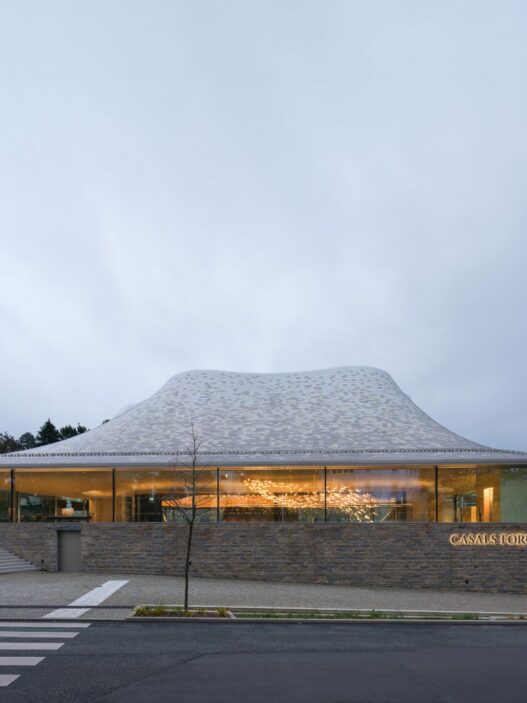 Lighting Design : Licht Kunst Licht Architects : Staab Architekten GmbH Acoustic Designer : Peutz bv Location : Kronberg, Germany Prize: Tesla Lighting Design Award Designooor Hamed Mahzoon