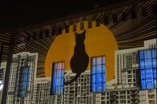 What Happened in Tehran Design Week? SEGAL Media - Video Mapping on the University Building | Location: College of Fine Arts at the University of Tehrantehran deisgn week 2025 Iran Design Designooor Hamed Mahzoon Nima Bavardi