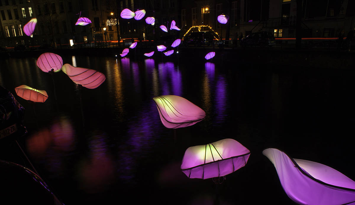 In Bloom
Designer : Wilhelmusvlug
Hamed Mahzoon
Designooor
Image's © Janus van den Eijnden