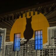 What Happened in Tehran Design Week? SEGAL Media - Video Mapping on the University Building | Location: College of Fine Arts at the University of Tehrantehran deisgn week 2025 Iran Design Designooor Hamed Mahzoon Nima Bavardi