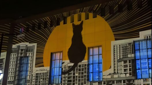 What Happened in Tehran Design Week? SEGAL Media - Video Mapping on the University Building | Location: College of Fine Arts at the University of Tehrantehran deisgn week 2025 Iran Design Designooor Hamed Mahzoon Nima Bavardi