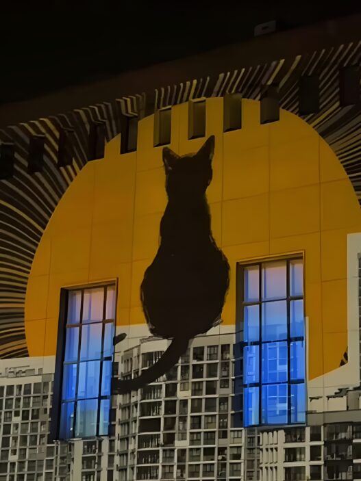 What Happened in Tehran Design Week? SEGAL Media - Video Mapping on the University Building | Location: College of Fine Arts at the University of Tehrantehran deisgn week 2025 Iran Design Designooor Hamed Mahzoon Nima Bavardi