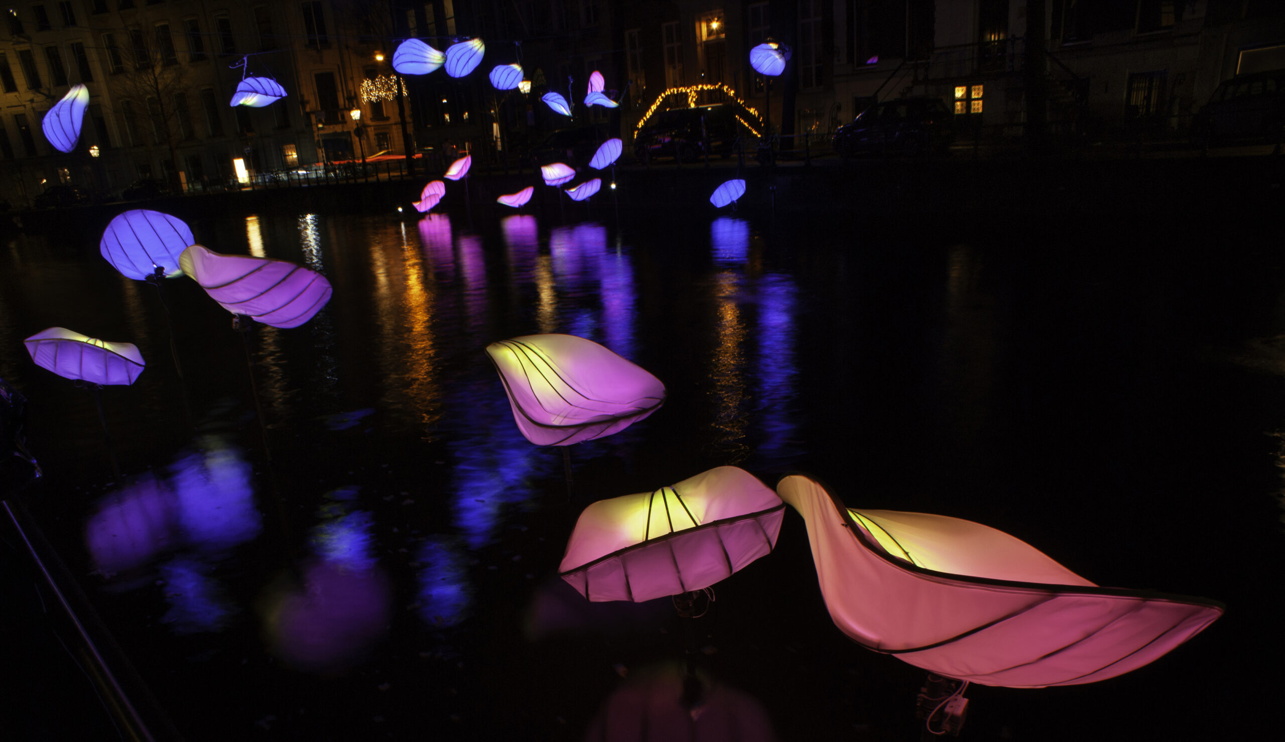 In Bloom
Designer : Wilhelmusvlug
Hamed Mahzoon
Designooor
Image's © Janus van den Eijnden