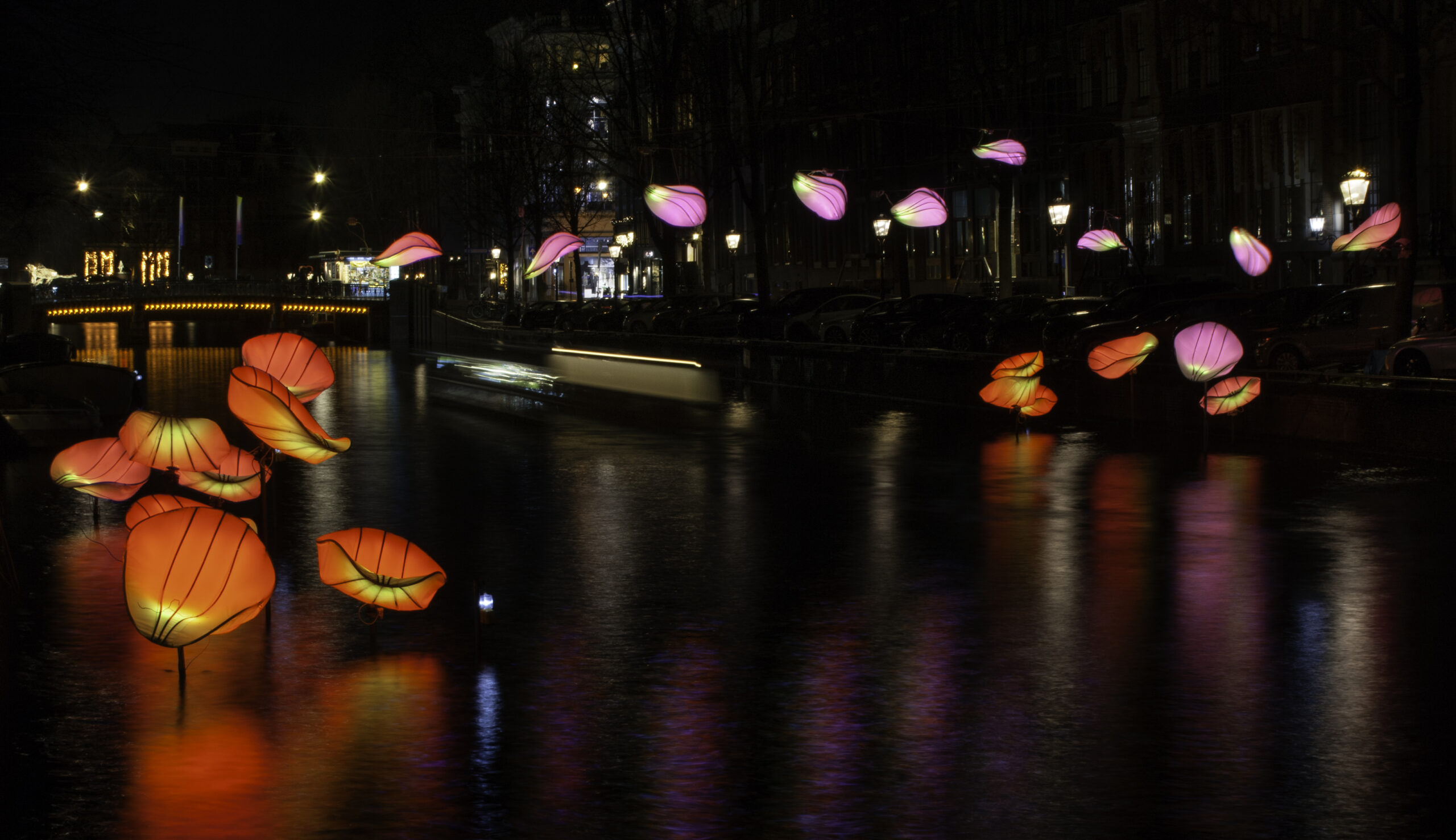 In Bloom
Designer : Wilhelmusvlug
Hamed Mahzoon
Designooor
Image's © Janus van den Eijnden