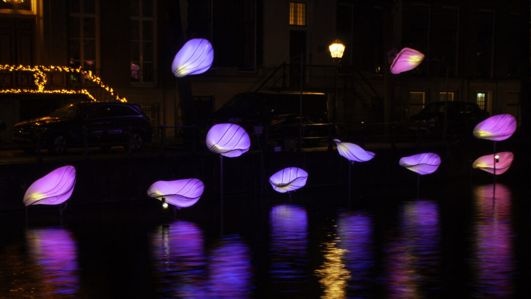 In Bloom Designer : Wilhelmusvlug Hamed Mahzoon Designooor Image's © Janus van den Eijnden