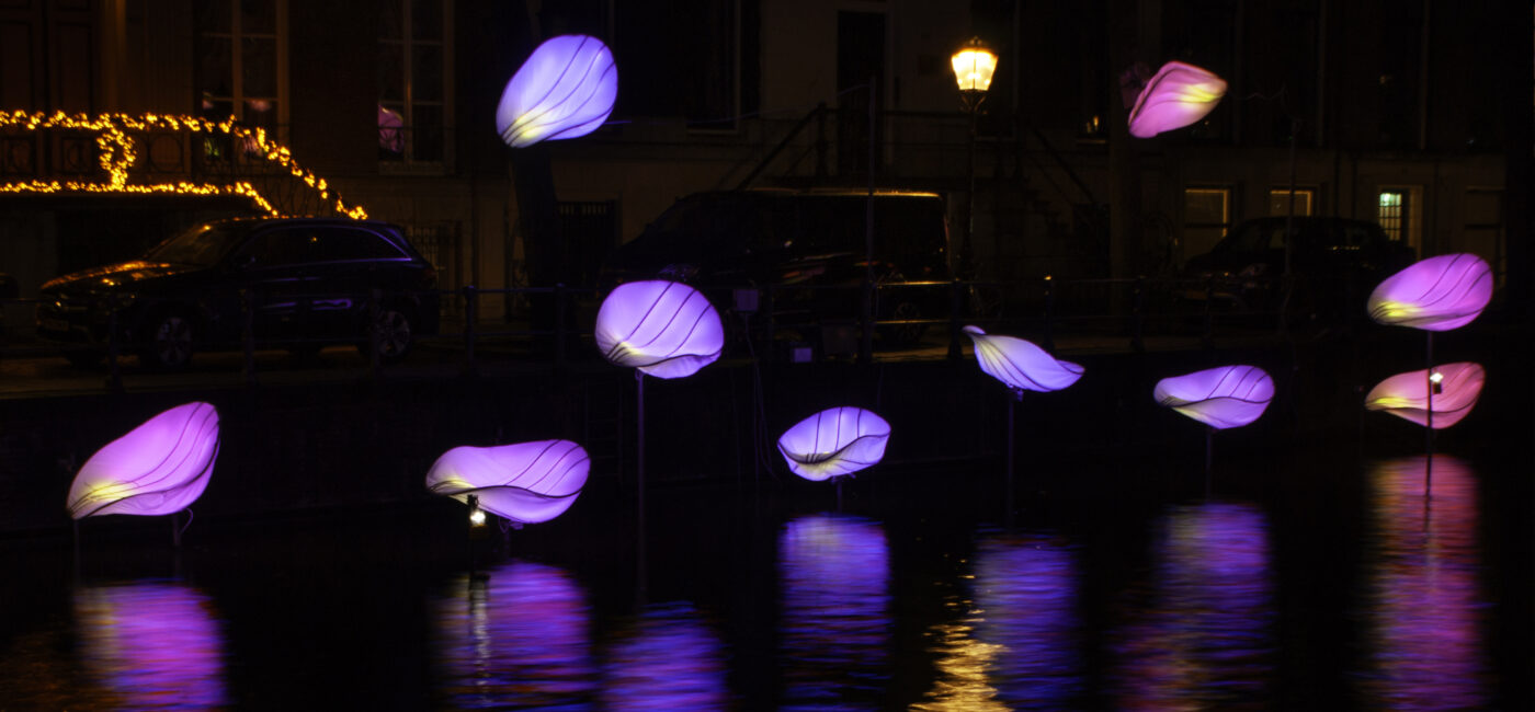 In Bloom Designer : Wilhelmusvlug Hamed Mahzoon Designooor Image's © Janus van den Eijnden