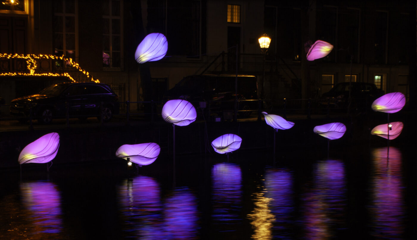 In Bloom Designer : Wilhelmusvlug Hamed Mahzoon Designooor Image's © Janus van den Eijnden