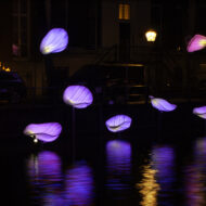 In Bloom Designer : Wilhelmusvlug Hamed Mahzoon Designooor Image's © Janus van den Eijnden