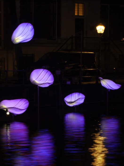 In Bloom Designer : Wilhelmusvlug Hamed Mahzoon Designooor Image's © Janus van den Eijnden