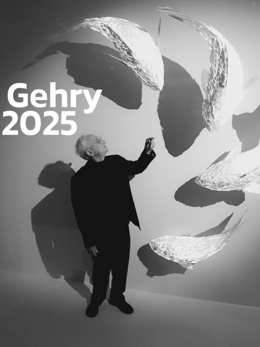 Frank Gehry Rip Designooor Nima Bavardi